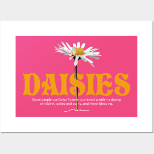 Daisy Flowers Posters and Art